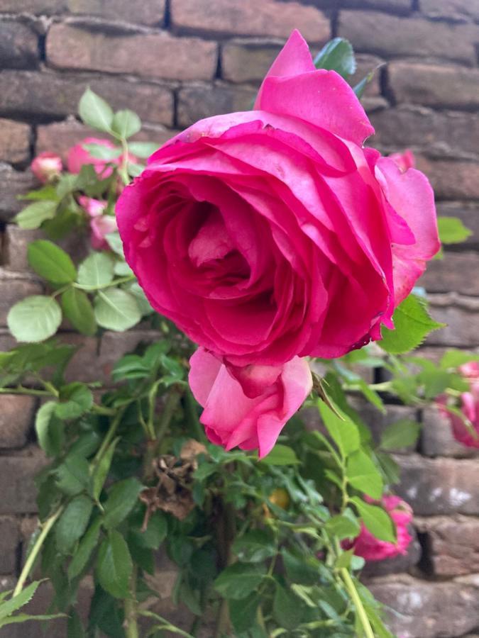 Villa Delle Rose 브라 외부 사진